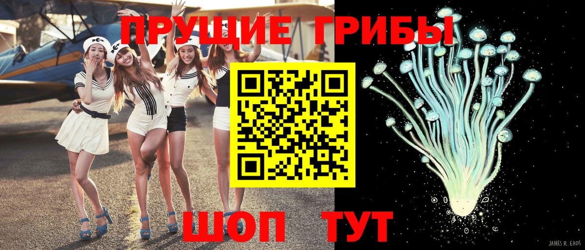 Псилоцибиновые грибы MAGIC MUSHROOMS Торжок