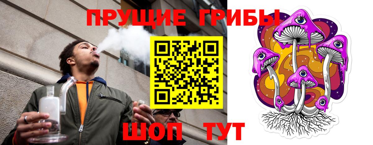 Псилоцибиновые грибы Cubensis  Вход с VPN  Торжок 